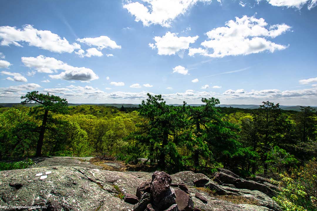 yellow trail top view